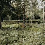 Castle Lakes - 3*